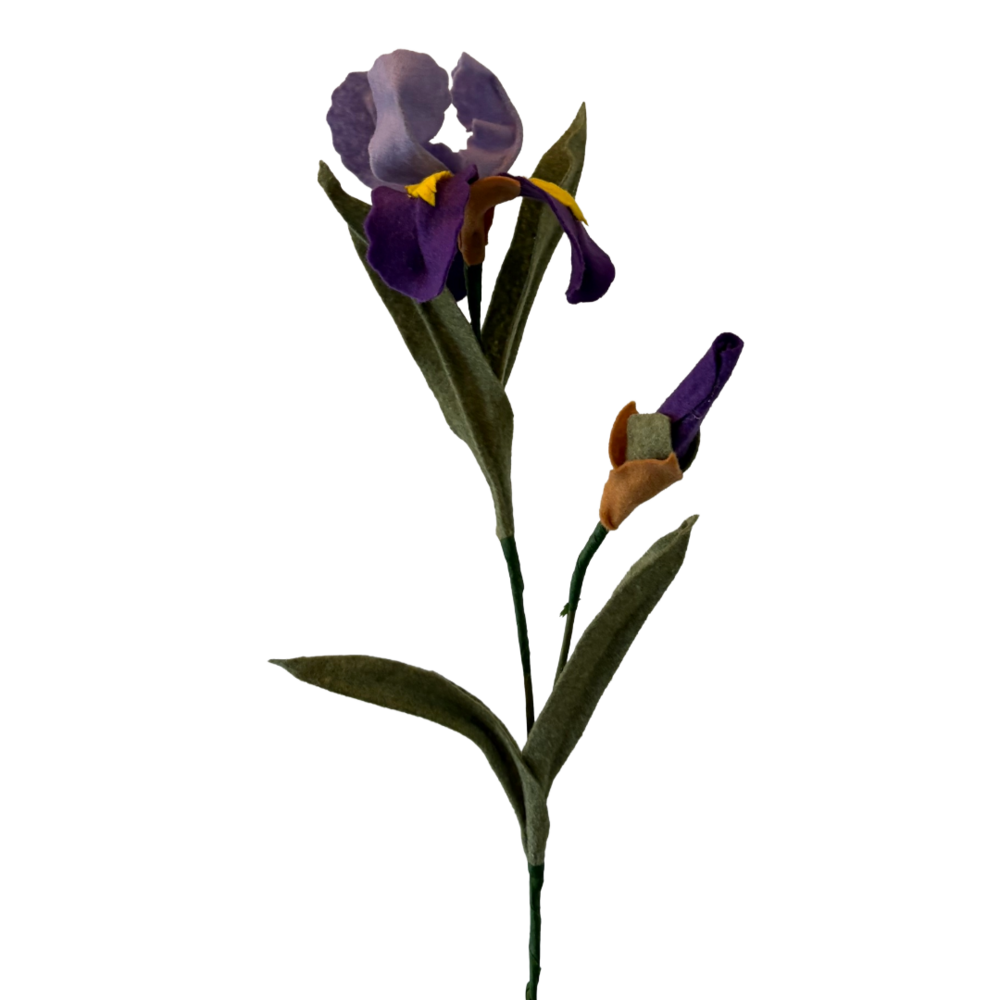 Workshop: Maak je eigen vilten iris op de KreaDoe!