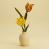 DIY Pakket Parkiet tulpen, Geel/Saffraan