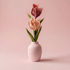 DIY Pakket Parkiet tulpen, Abrikoos/Antiek Roze
