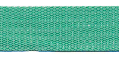 Tassenband mint groen 25 mm breed