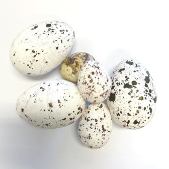 Decoratie eieren mix set