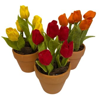 DIY Pakket Tulpen, verkrijgbaar in 12 kleuren!