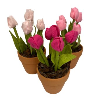 DIY Pakket Tulpen, verkrijgbaar in 12 kleuren!