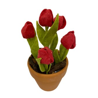 DIY Pakket Tulpen, verkrijgbaar in 12 kleuren!