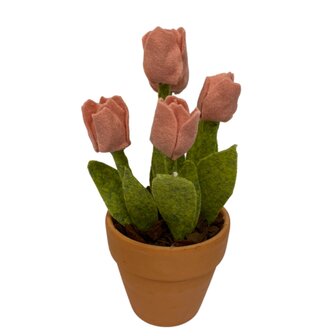 DIY Pakket Tulpen, verkrijgbaar in 12 kleuren!