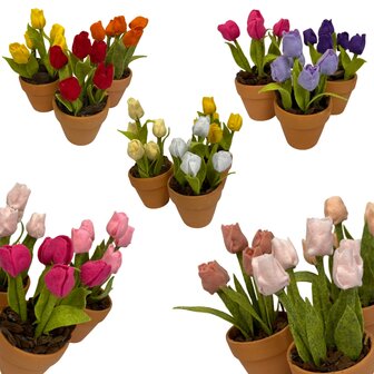 DIY Pakket Tulpen, verkrijgbaar in 12 kleuren!