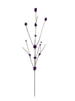 DIY Pakket, Mix &amp; Match!! Callicarpa