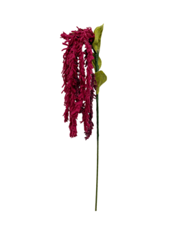 DIY Pakket, Mix &amp; Match!! Amaranthus