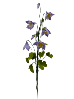 DIY Pakket, Mix &amp; Match!! Akelei Lila