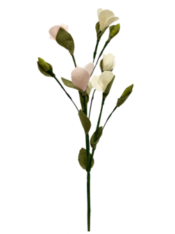 DIY Pakket, Mix &amp; Match!! Lysianthus