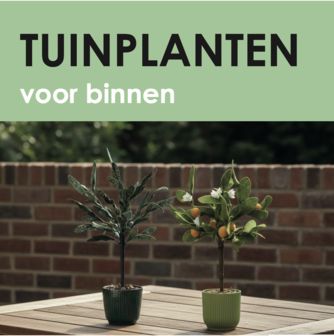 DIY Vilt Plantenboek
