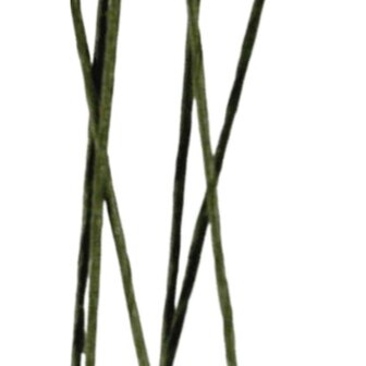 EXTRA LANG! Bloemen draad, groen omwikkeld 0,8 mm dik x 60 cm lang, 10 stuks per verpakking