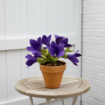 Petunia, Patroon &amp; Werkbeschrijving DIGITAAL