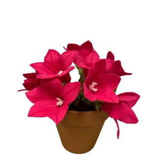 Petunia, Patroon &amp; Werkbeschrijving DIGITAAL