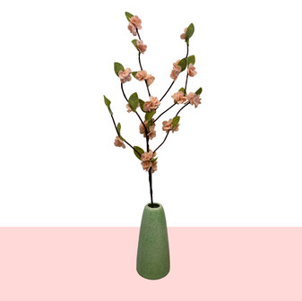 DIY Pakket, Mix &amp; Match!! Bloesemtak, Abrikoos