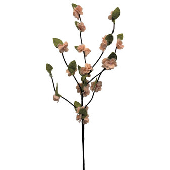 DIY Pakket, Mix &amp; Match!! Bloesemtak, Abrikoos