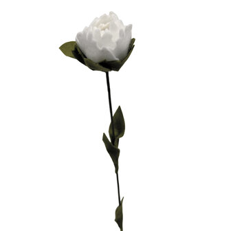 DIY Pakket, Mix &amp; Match!! Pioenroos, Wit