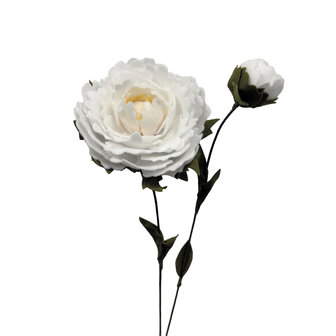 DIY Pakket, Mix &amp; Match!! Pioenroos, Wit