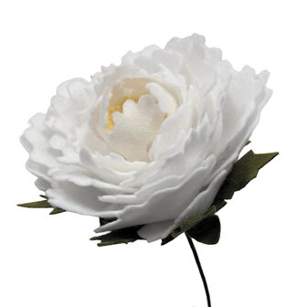 DIY Pakket, Mix &amp; Match!! Pioenroos, Wit