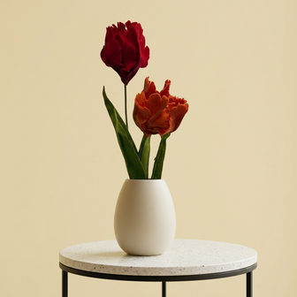 DIY Pakket Parkiet tulpen, Rood/Baksteen