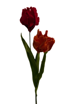 DIY Pakket Parkiet tulpen, Rood/Baksteen