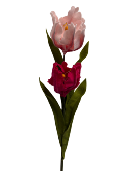 DIY Pakket Parkiet tulpen, Fuchsia/Zacht Roze
