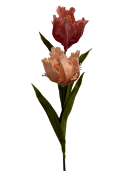 DIY Pakket Parkiet tulpen, Abrikoos/Antiek Roze
