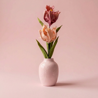 DIY Pakket Parkiet tulpen, Abrikoos/Antiek Roze