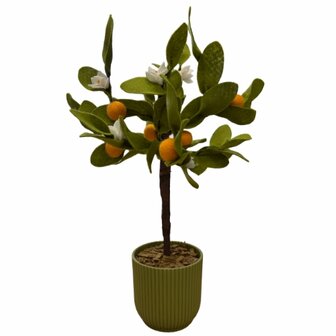 DIY Pakket Plant, Sinaasappelboom