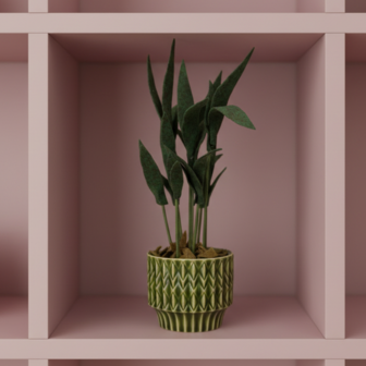 DIY Pakket Plant, Mini Palm