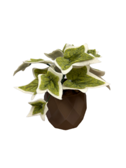DIY Pakket Plant, Hedera