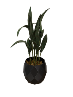 DIY Pakket Plant, Mini Palm