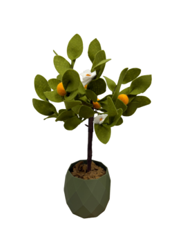DIY Pakket Plant, Sinaasappelboom