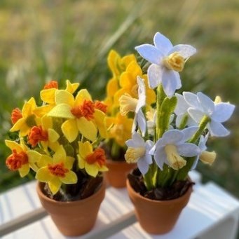 DIY Pakket Narcissen, verkrijgbaar in 3 kleuren combinaties