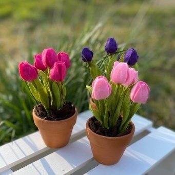 DIY Pakket Tulpen, verkrijgbaar in 12 kleuren!