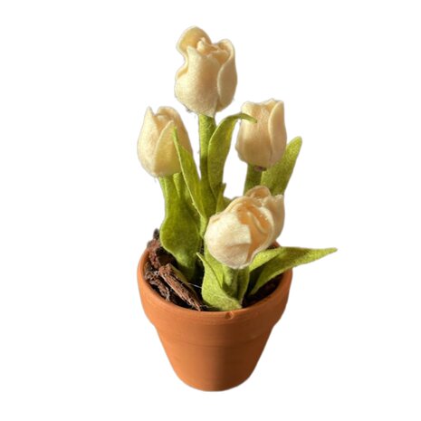 DIY Pakket Tulpen, verkrijgbaar in 12 kleuren!