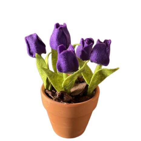 DIY Pakket Tulpen, verkrijgbaar in 12 kleuren!