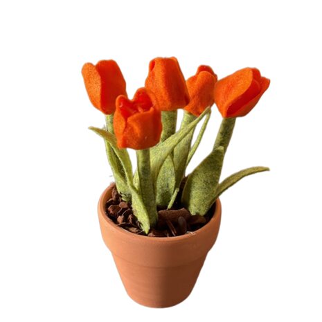 DIY Pakket Tulpen, verkrijgbaar in 12 kleuren!