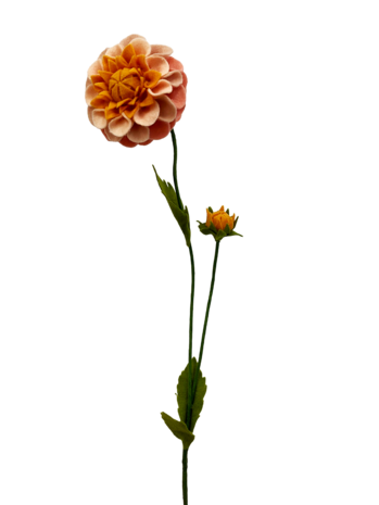 DIY Pakket, Mix & Match!! Dahlia