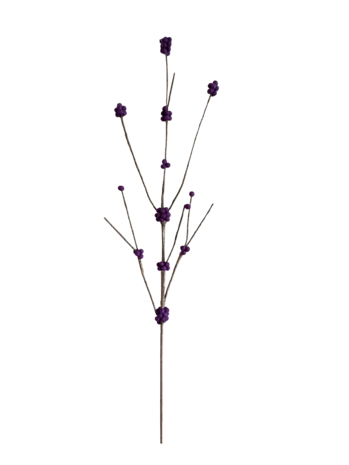 DIY Pakket, Mix & Match!! Callicarpa