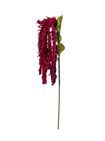 DIY Pakket, Mix & Match!! Amaranthus