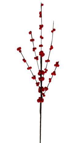 DIY Pakket, Mix & Match!! Ilex Rood