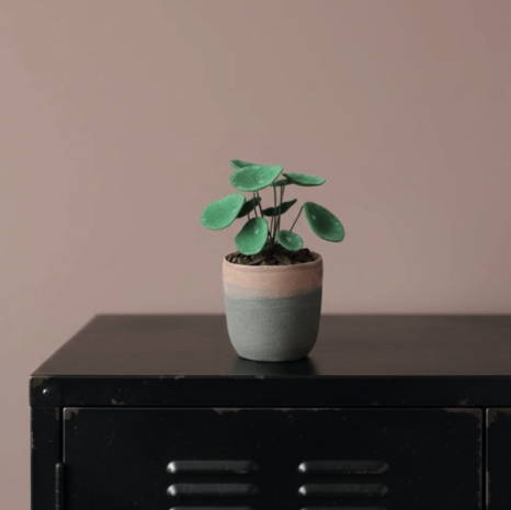 DIY Vilt Plantenboek