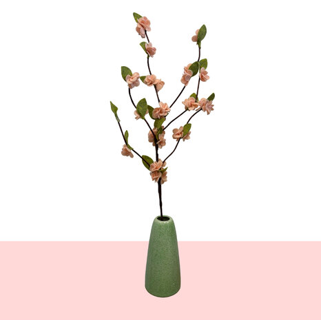 DIY Pakket, Mix & Match!! Bloesemtak, Abrikoos