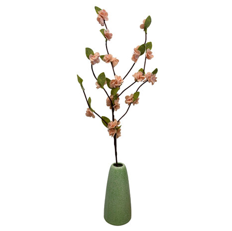 DIY Pakket, Mix & Match!! Bloesemtak, Abrikoos