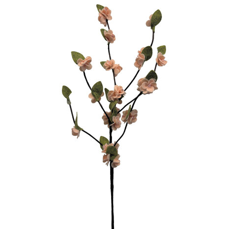 DIY Pakket, Mix & Match!! Bloesemtak, Abrikoos