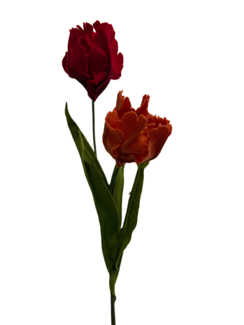 DIY Pakket Parkiet tulpen, Rood/Baksteen