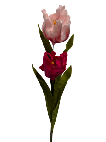 DIY Pakket Parkiet tulpen, Fuchsia/Zacht Roze
