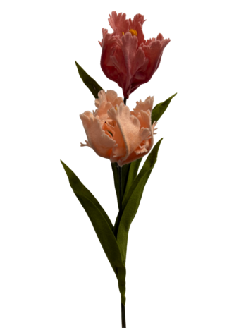 DIY Pakket Parkiet tulpen, Abrikoos/Antiek Roze