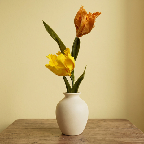 DIY Pakket Parkiet tulpen, Geel/Saffraan